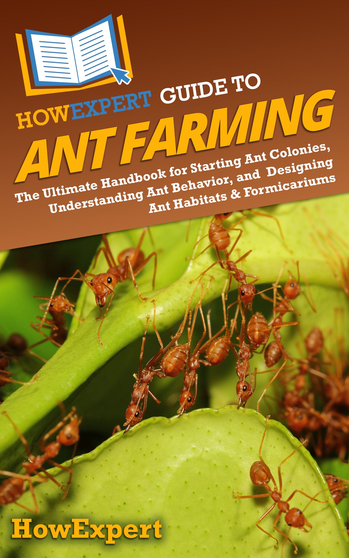 HowExpert Guide to Ant Farming
